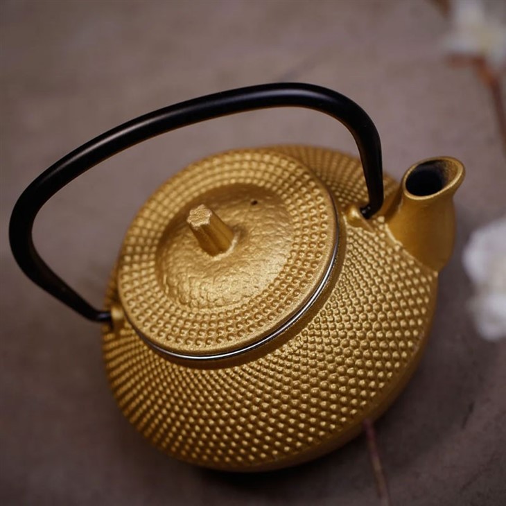 Tea Infuser Iron Teapot Set