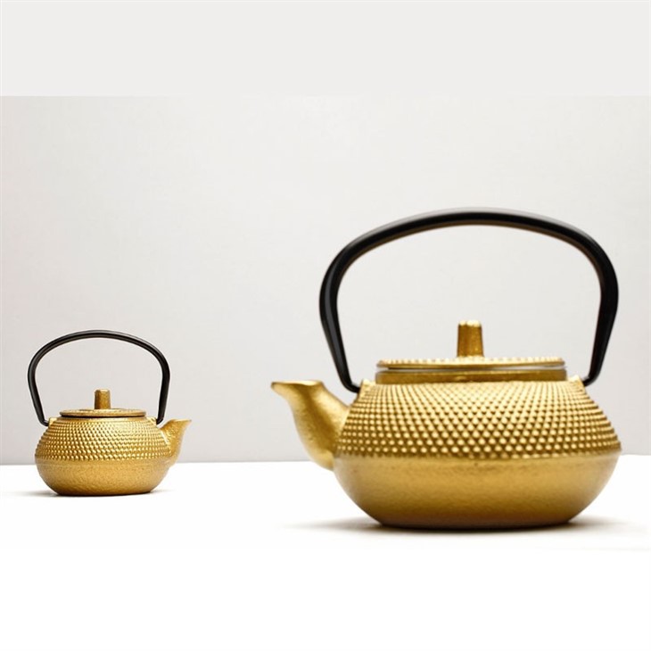 Tea Infuser Iron Teapot Set